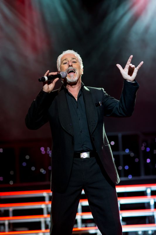 the tom jones tribute show